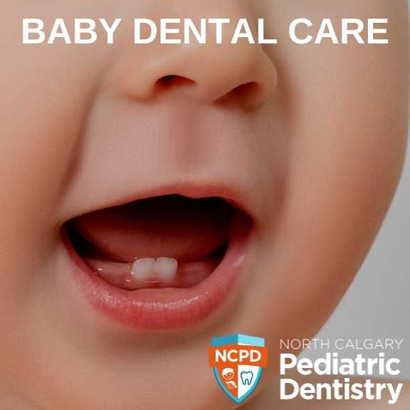 calgary ne baby dental care